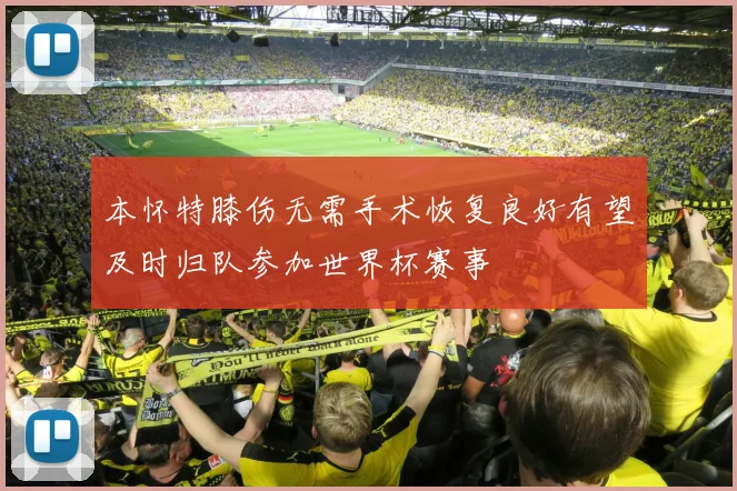 本怀特膝伤无需手术恢复良好有望及时归队参加世界杯赛事